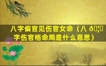 八字偏官见伤官女命（八 🦟 字伤官格命局是什么意思）